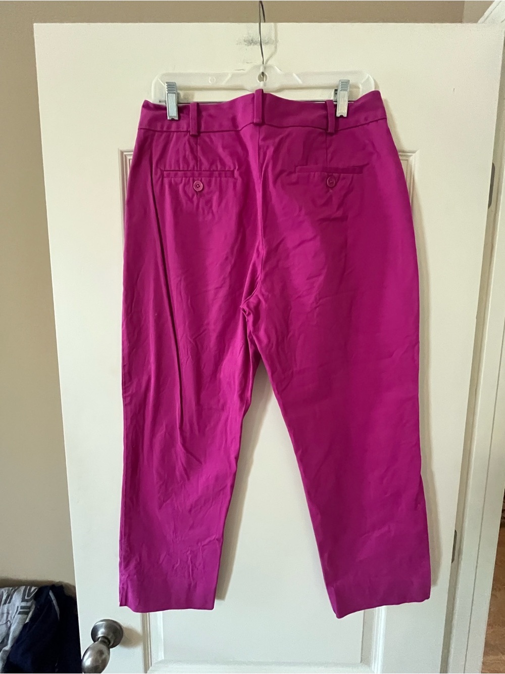 Talbots Fuchsia Straight-Leg Capri Curvy style Pants Size 6 - Picture 4 of 14